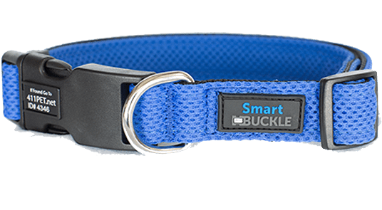 Our Collars – Smart Buckle